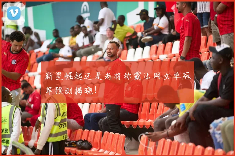 新星崛起还是老将称霸法网女单冠军预测揭晓！