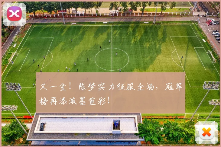 又一金!陈梦实力征服全场,冠军榜再添浓墨重彩!